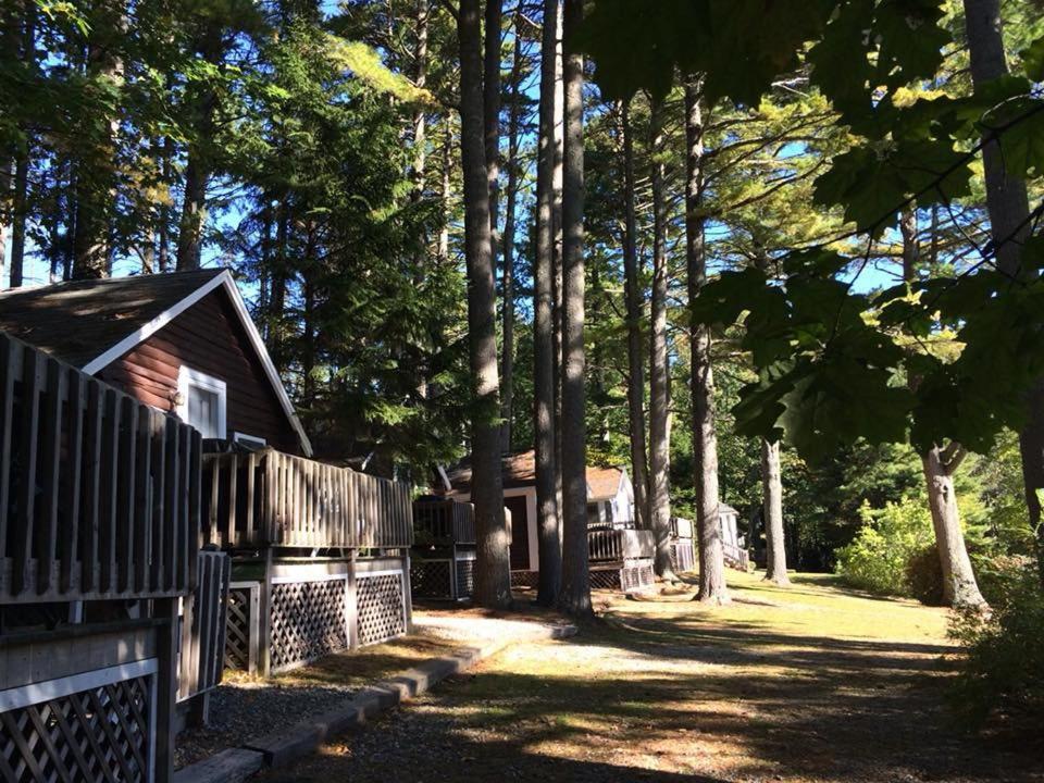Pine Grove Cottages لينكولنفيل المظهر الخارجي الصورة