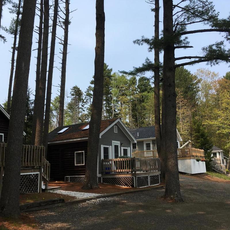 Pine Grove Cottages لينكولنفيل المظهر الخارجي الصورة